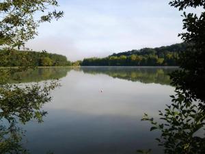 Appartements Appt HAMEAU DU LAC avec piscine et vue sur le lac : photos des chambres