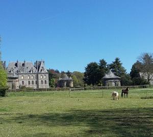 Maisons de vacances Villa Excallibur, aux portes de Broceliande : photos des chambres