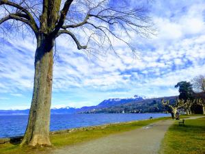 Bellerive, pieds dans leau lac & montagnes