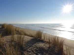 Maisons de vacances Holiday Home Les Oyats by Interhome : photos des chambres