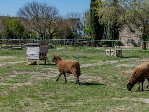 Maisons de vacances Holiday Home Domaine Les Peupliers by Interhome : photos des chambres