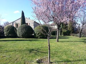 La Fenice - Beautifully restored property with heated pool in small village