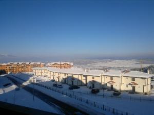 Harriet Hill Designer Bansko