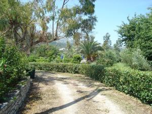 Lemontree Apartments Corfu Greece