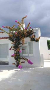 Private beautiful house - ( nice swimming Pool)