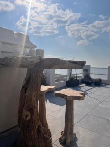 Appartements Les Petites Canailles Rooftop : photos des chambres