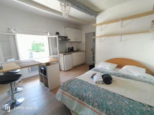 Appartements STUDIO avec PARKING TOUT A PIED et CALME : photos des chambres