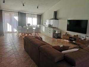 Open Space Rose img3