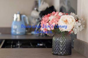 Dave and Jans Conwy Caravan-Bryn Morfa