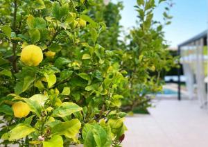 Casa Schaefer - Wunderschönes Haus mit Pool in der Nähe von Palma