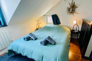 Maisons de vacances La Maison des Plantes, charmante, atypique et cosy pour 4 personnes avec parking et jardin : photos des chambres