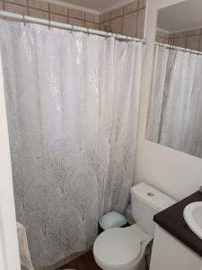 Departamento Ovalle 305