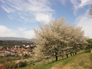 Hotels Domaine Lyon Saint Joseph : photos des chambres