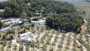 appartamentini case elisena Vieste