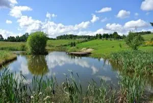 Jora Siedlisko - Zalec