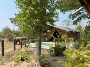 Elephant View Camp - 班康卡臣