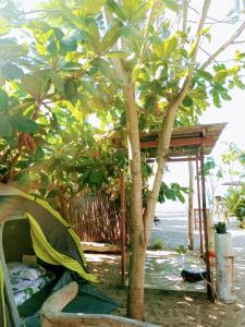 Akoya Beach Sunset Camp