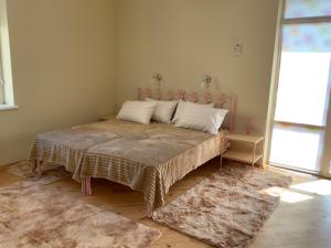 Гостьовий двір РіОНІ