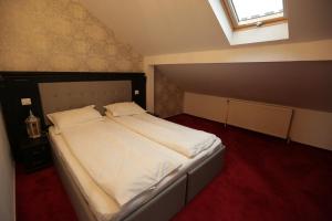 Casa Domnească Cacica