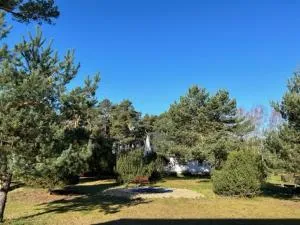 Ferienpark Buntspecht Apartment A - Karnin