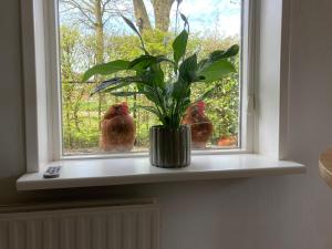 Appartement Greidesicht Kollumerpomp