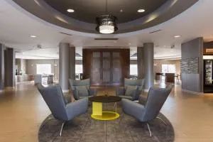 SpringHill Suites by Marriott Charlotte Ballantyne - Camp Cox