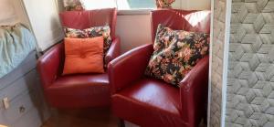 Pipowagen Paarse Opal