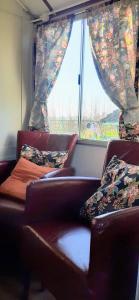 Pipowagen Paarse Opal