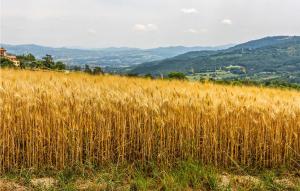 Lovely Home In Dignano With Kitchen