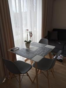 Izi Palace Deluxe StudioB1