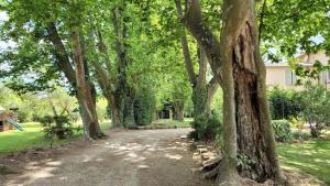 Villas Bastide Sainte Marie : photos des chambres