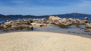 Lo sguardo sulla citta' ,Panoramic view img13