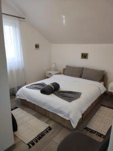 Casa Piatra Craivii, aproape de Alba Iulia