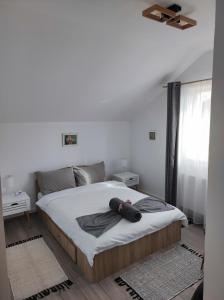 Casa Piatra Craivii, aproape de Alba Iulia
