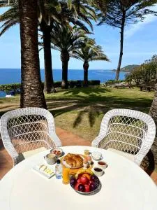 Villa les Palmiers - 卡尔卡托吉奥