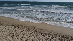 Appartements Cannes Terrace Beach Front & Sea view : photos des chambres