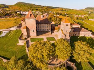 B&B / Chambres d'hotes Chateau de Pierreclos : photos des chambres