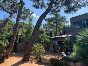 Appart'hotels Maranatha, front de mer avec plage : photos des chambres