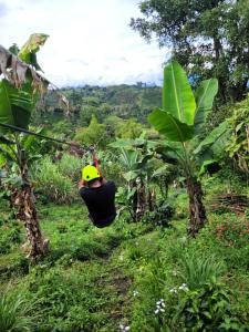 Chalet Ecoturismo La Nohelia