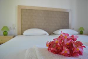 Antigoni Apartments Olive Room