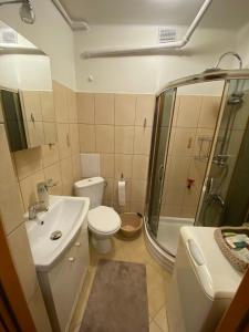 Apartament pod Złotą Małpą