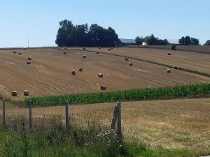 Panorama Racławicka Domek Willa Basen Agroturystyka