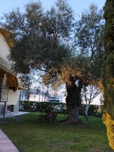 Magnolia House