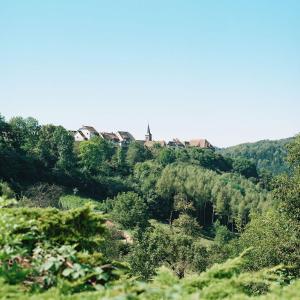 Hotels La Clairiere bio & spahotel : photos des chambres