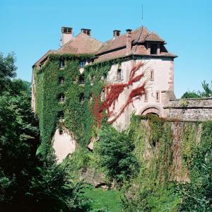 Hotels La Clairiere bio & spahotel : photos des chambres