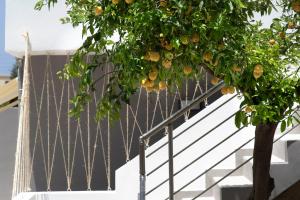 Chania Design Suites