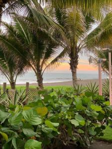 Casa, Cabo Tortugas, Monterrico