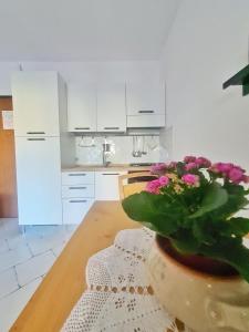 La casa di Leo img3