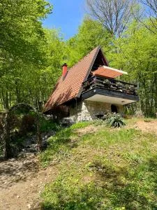 Mrežnički doživljaj - Generalski Stol