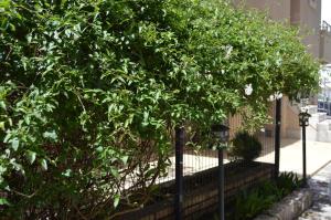 Vila Maslina Guesthouse